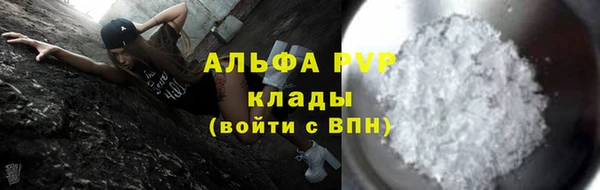 таблы Бородино