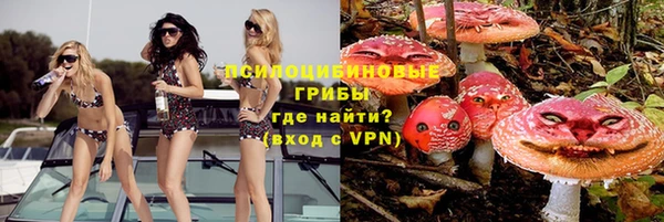 таблы Бородино